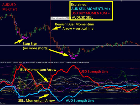 DYNAMIC FOREX28 NAVIGATOR